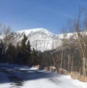 Meet your Posher, Meg